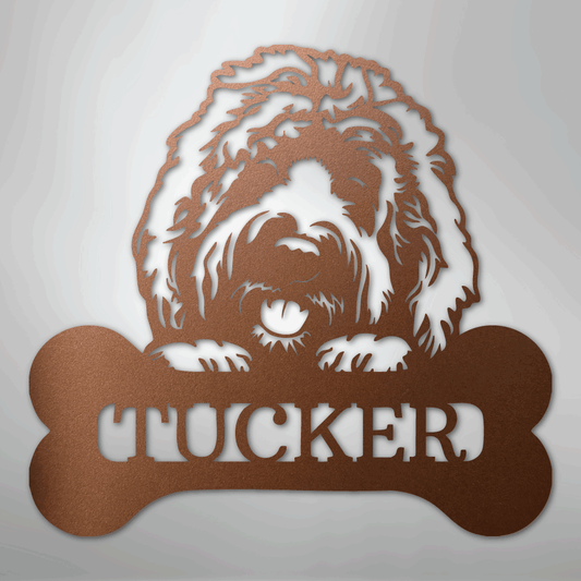 79311246691960218