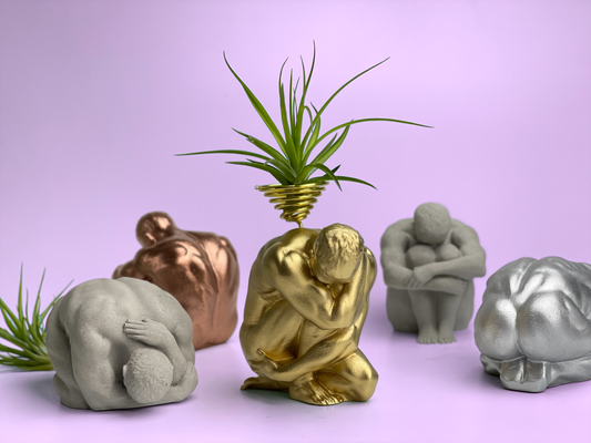 MALE BODY AIR PLANT HOLDER