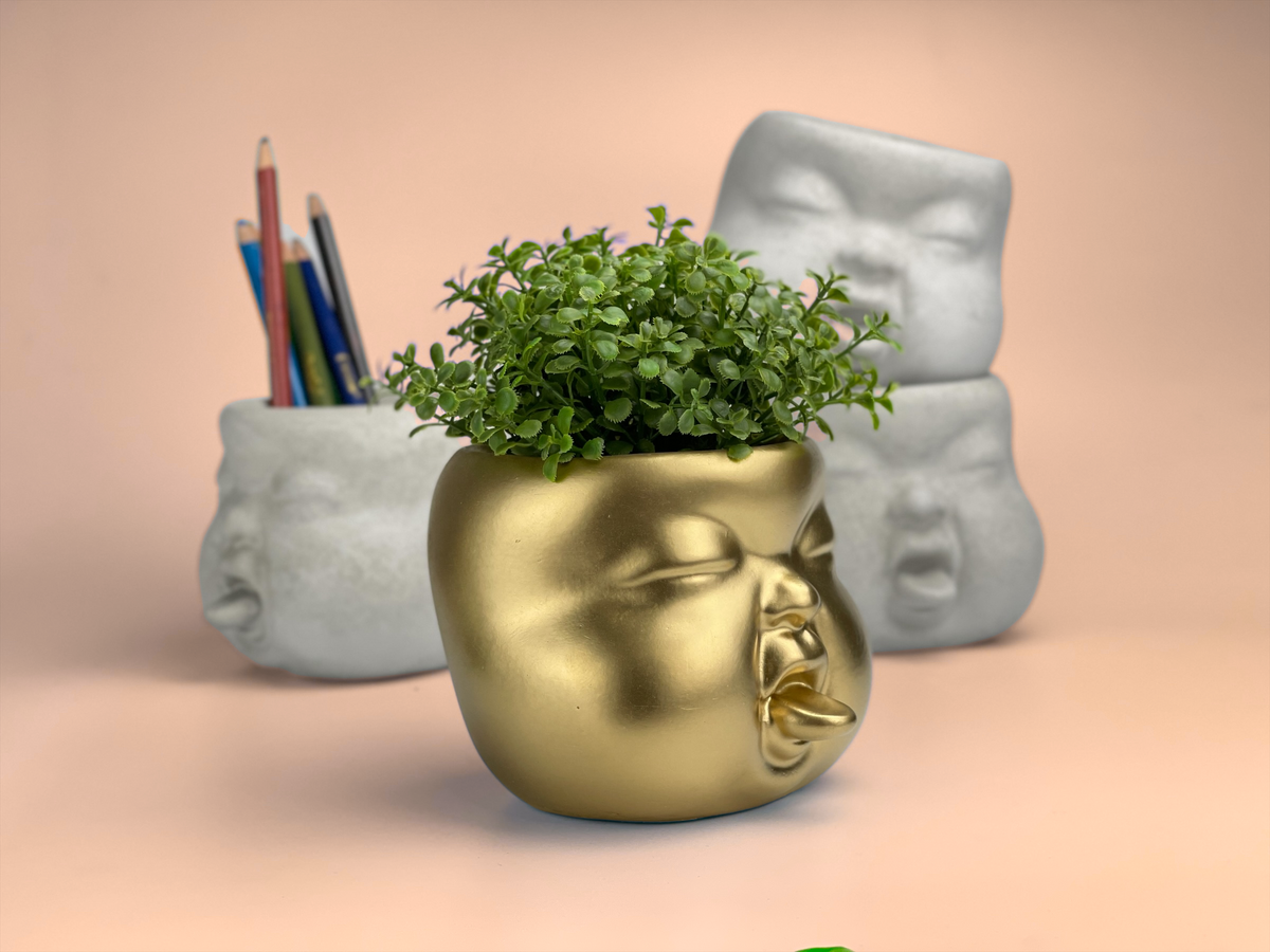 Baby Face Succulent Planter