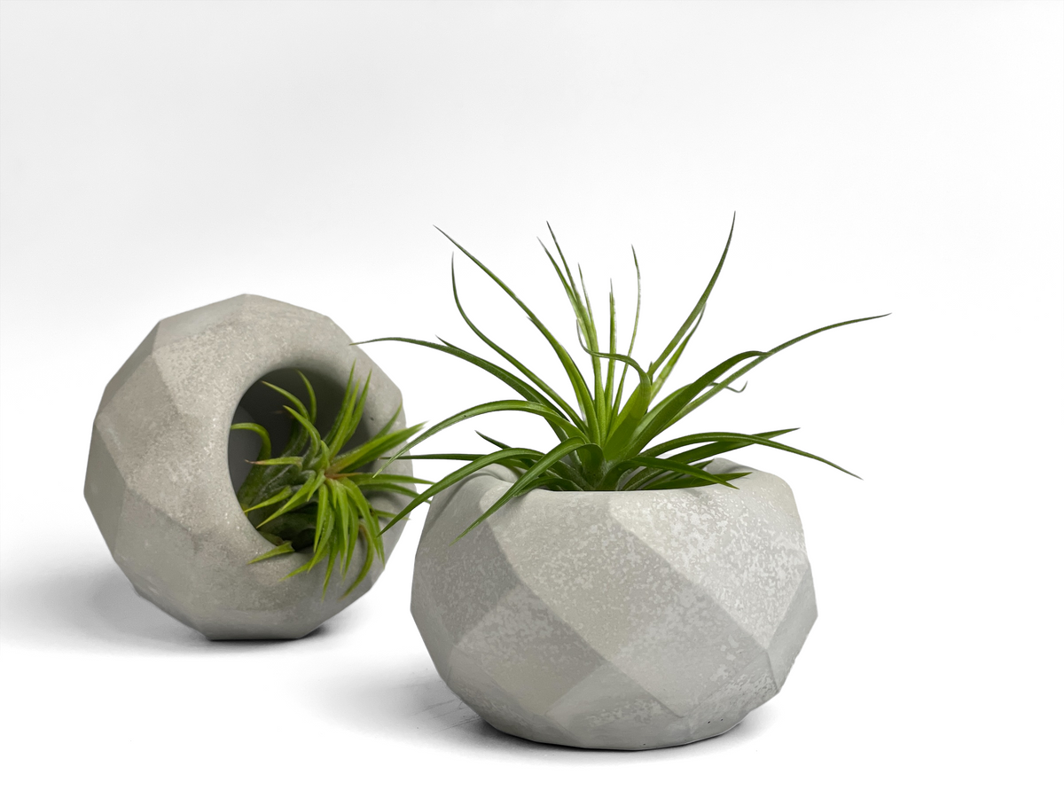 Geometric Air Plant Holder