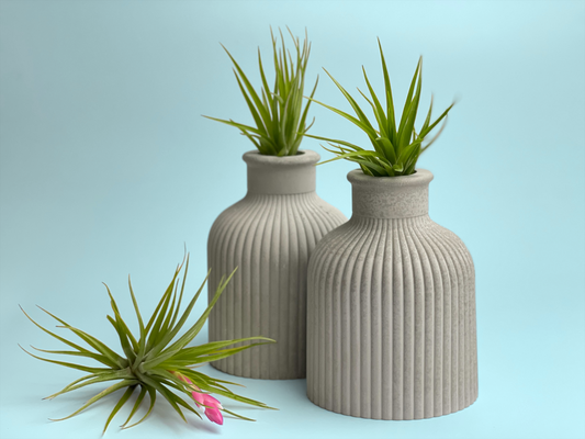 FAT MINI VASE | AIR PLANT HOLDER