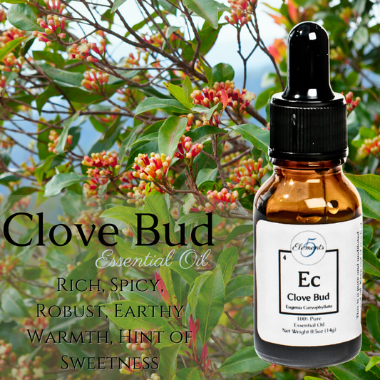Clove Bud | Essential Oil | Eugenia caryophyllata