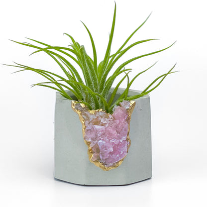 Raw ROSE QUARTZ GEODE PLANTER