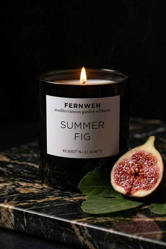Summer Fig Scented Soy Candle