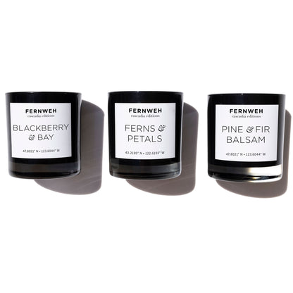 Pine & Fir Balsam Scented Soy Candle