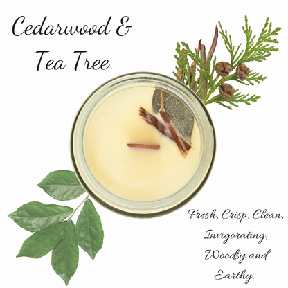 Cedarwood & Tea Tree | Essential Oil | 3 oz Jar Candle
