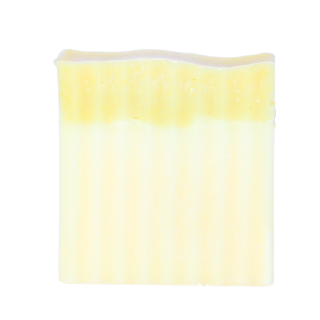 Cedarwood & Tea Tree | Essential Oil | Bar Soap