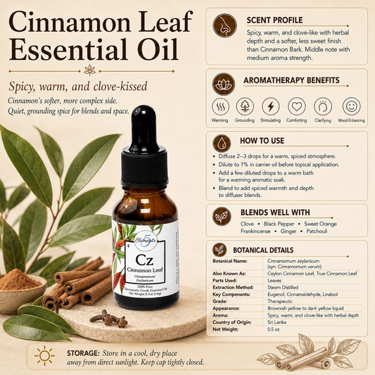 Cinnamon Leaf | Essential Oil | Cinnamomum zeylanicum