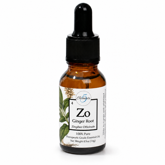 Ginger Root | Essential Oil | Zingiber officinale