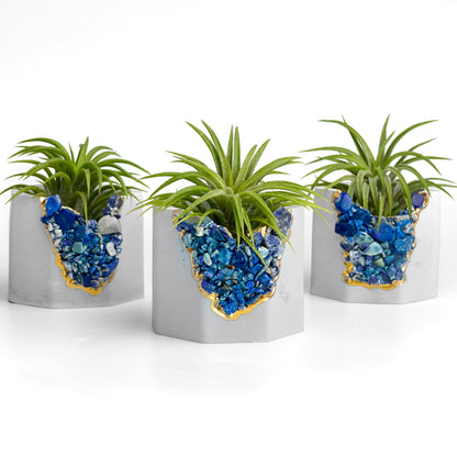 LAPIS LAZULI GEODE PLANTER