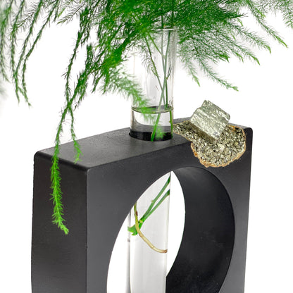 PYRITE PROPAGATION STATION