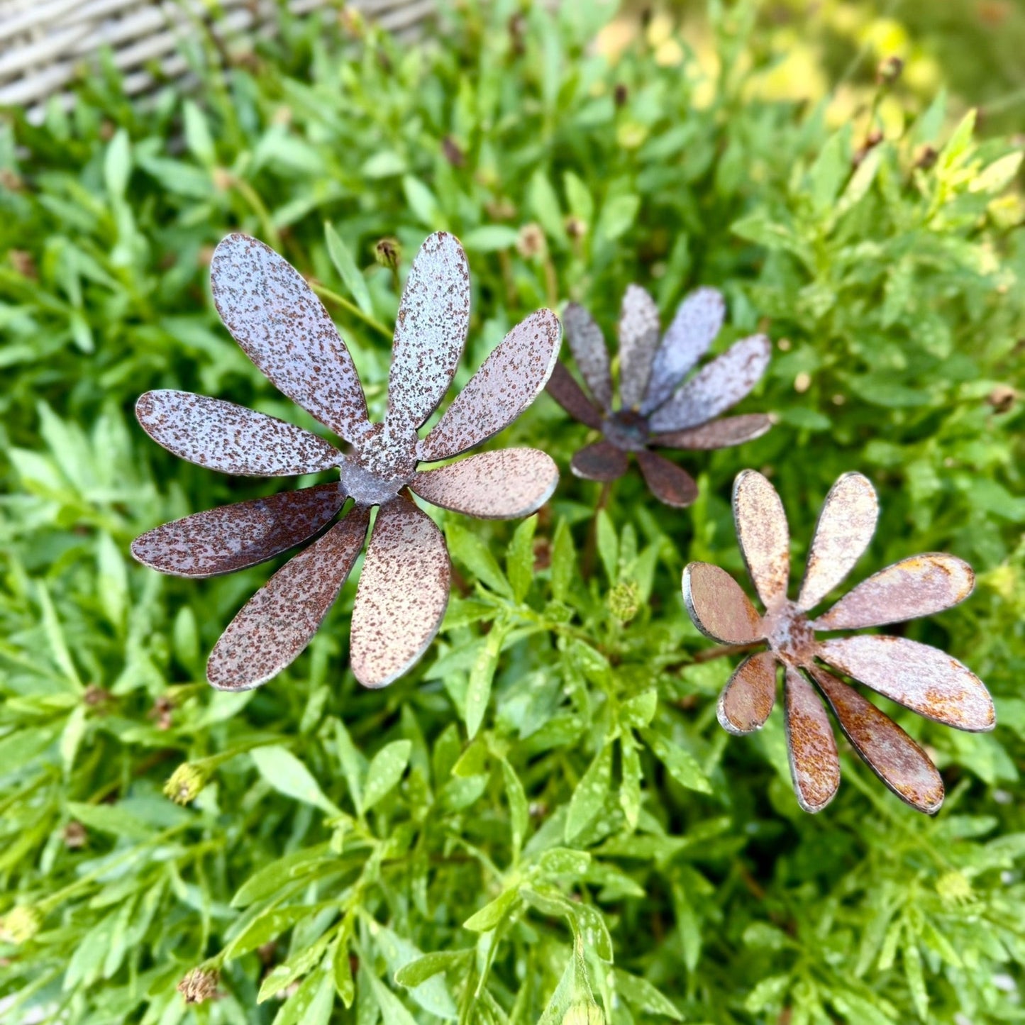 3-Pack Metal Daisy Flowers