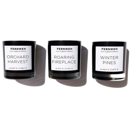 Winter Pines Scented Soy Candle