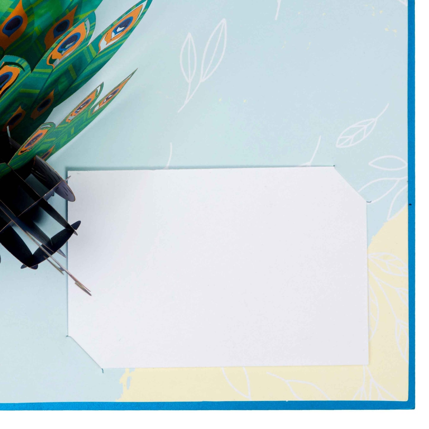 Peacock Pop Up Card