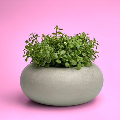 Perfect Succulent Planter