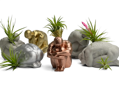 MALE BODY AIR PLANT HOLDER