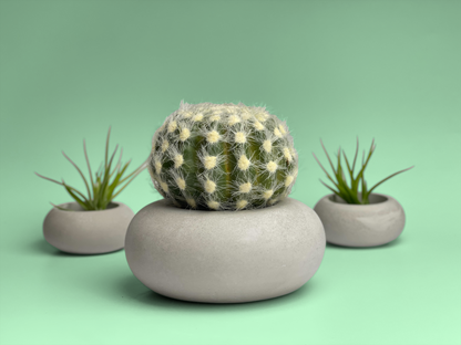 Perfect Succulent Planter