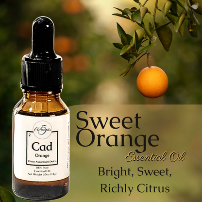 Sweet Orange | Essential Oil | Citrus Aurantium Dulcis