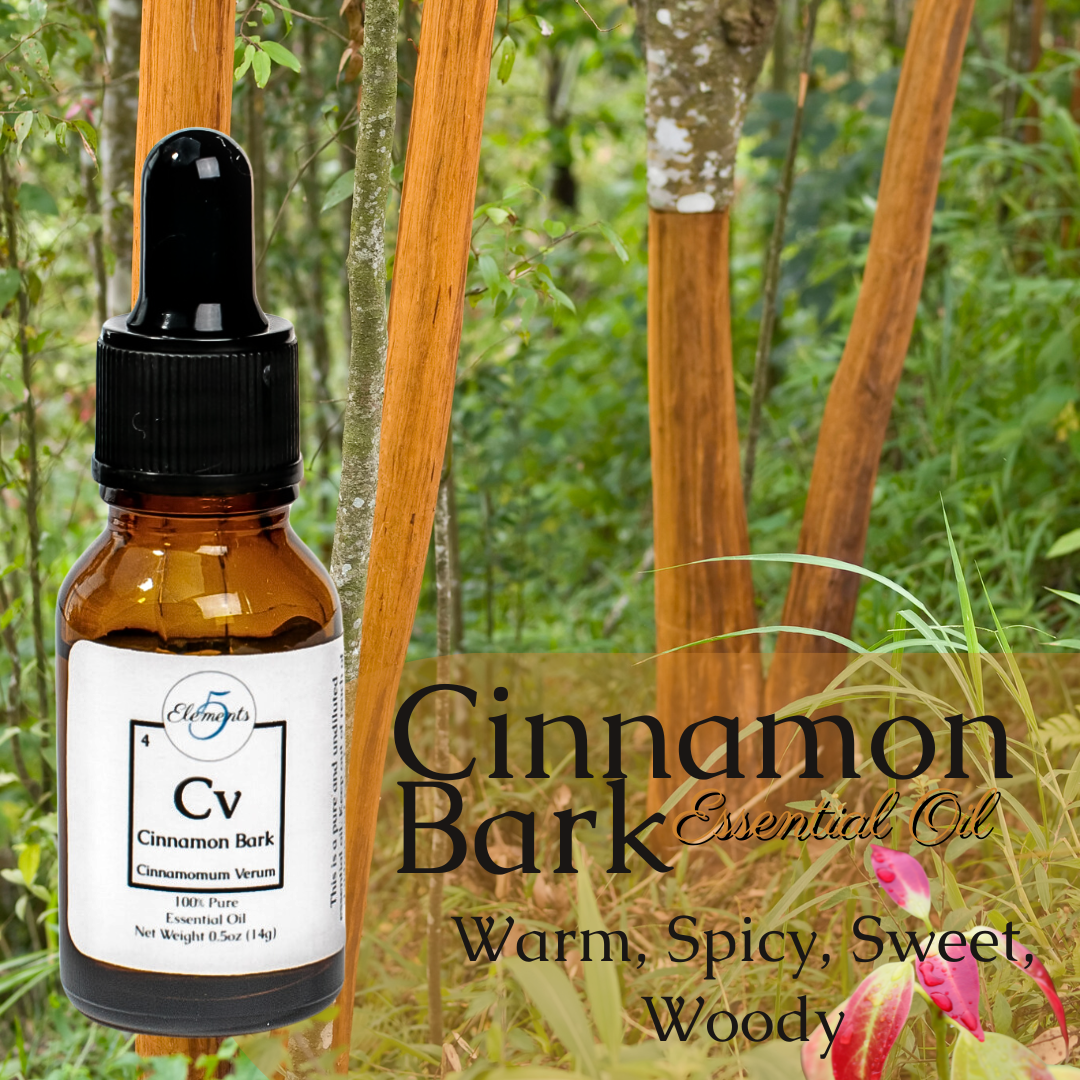 Cinnamon Bark | Essential Oil | Cinnamomum Verum
