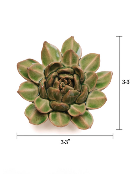 Ceramic Small Green Succulent - Echeveria