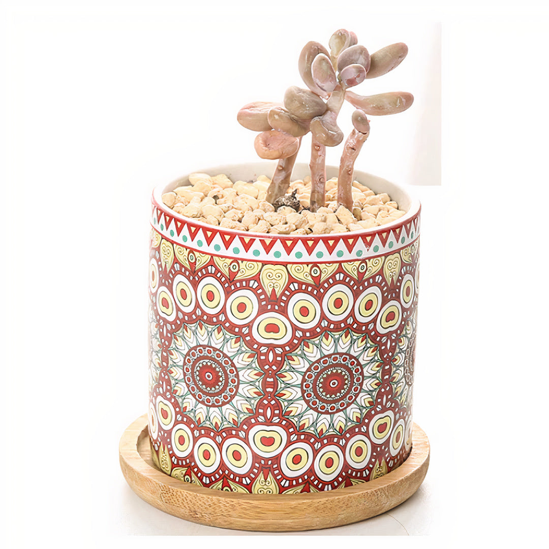 ClaudiaG Mandala Planter (Set of 4)