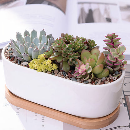 Message in a Planter - 7" Oval
