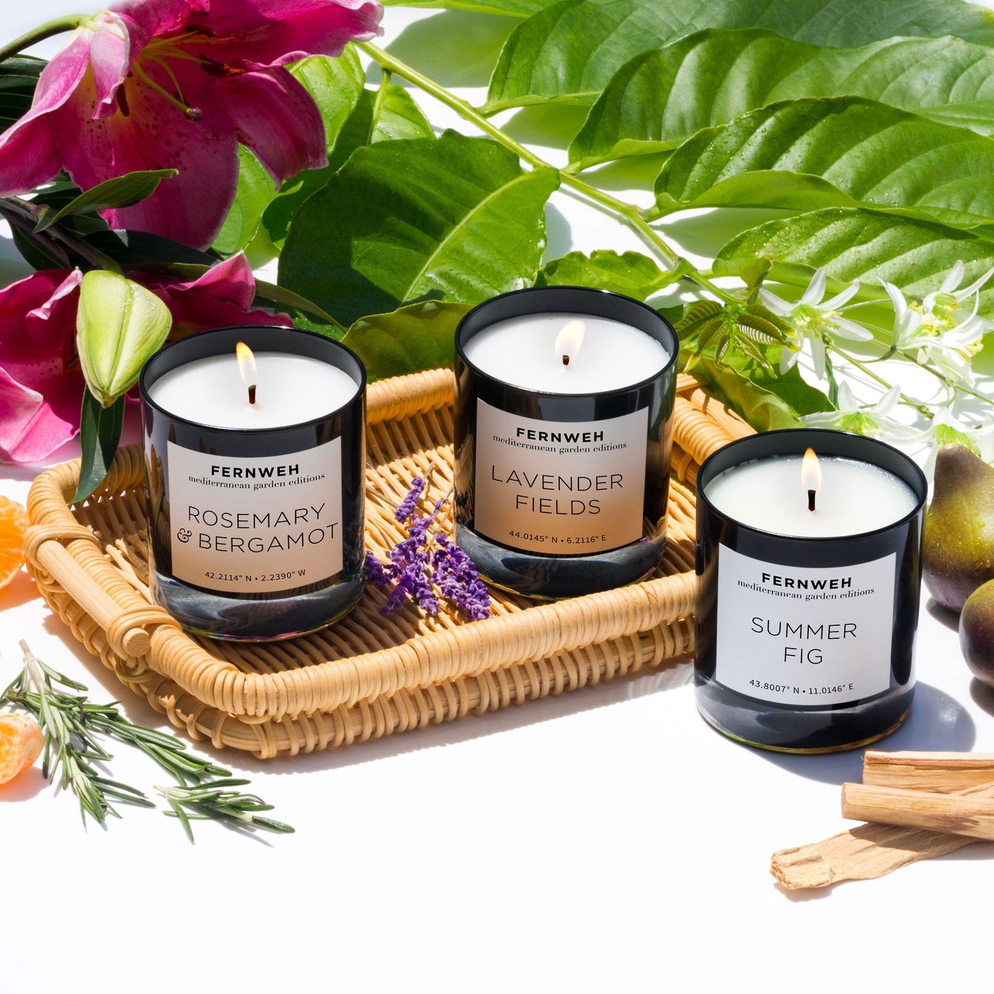 Summer Fig Scented Soy Candle