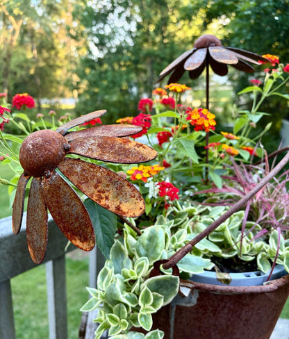 Metal Coneflowers | Yard Art