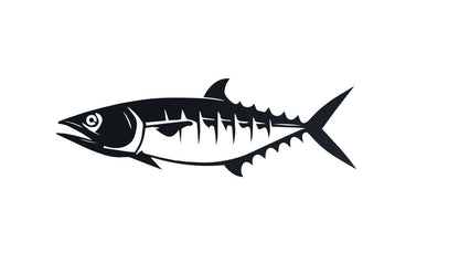 Steel Kingfish (Mackerel) Wall Art