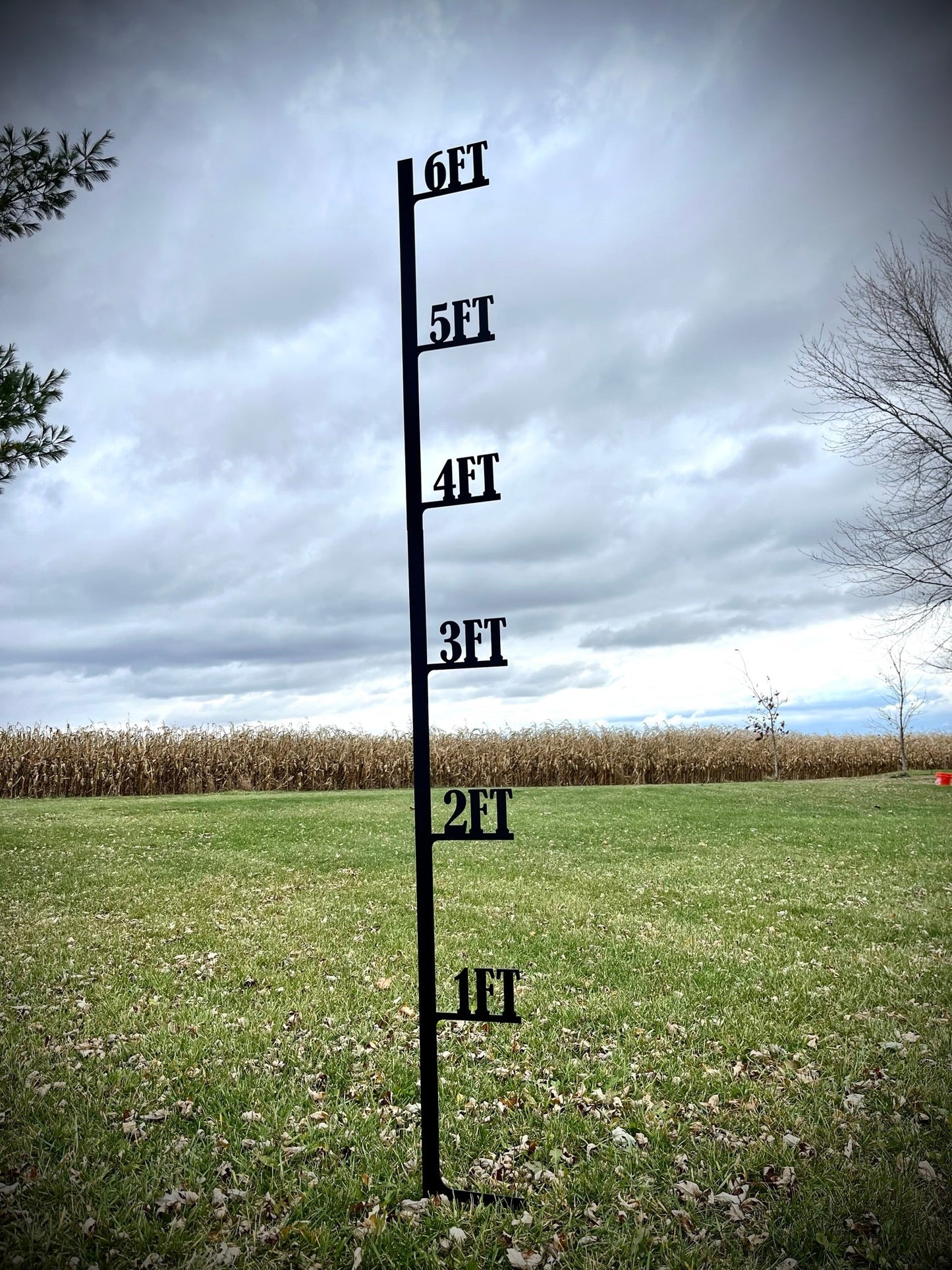 XL 6-Foot Steel Snow Gauge